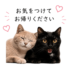 yuko_20260611162840
