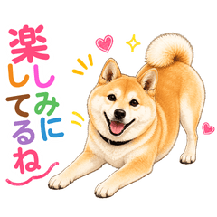 コロのやさしい日常会話