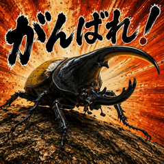Daily King Hercules Beetle