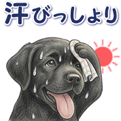 動く！ラブラドール夏Ver.
