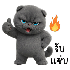 Icy Gray Grumpy Cat