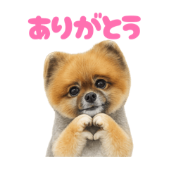 DOG STAMP ORDER_20260619130156