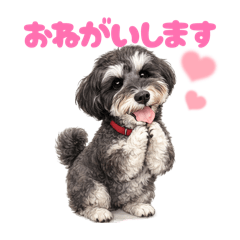 DOG STAMP ORDER_20260619133731