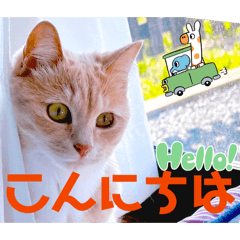 Mochioba_20260619135041