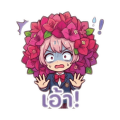 Flower Girl Bougainvillea: Daily Thai