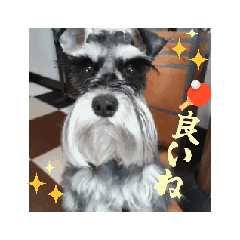 natsu_20260619120149