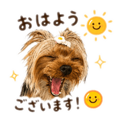 kana_20260615134224