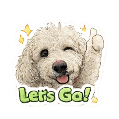 Labradoodle stamp_202606191...