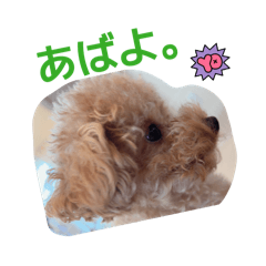 itsumoarigato!daisukidayo