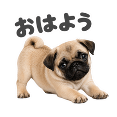 mao_20260609004146