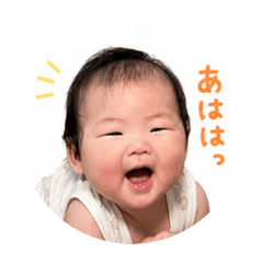 miki_20260609034751