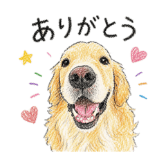Hamachi_20260608225451