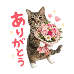 spring_20260609083320