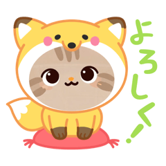 cat_20260609085737