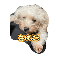 Shuto_20260609091900