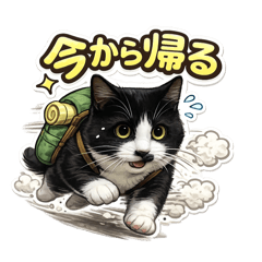 Muchiriko_20260609091232