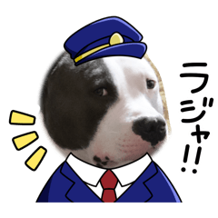 jjj_20260609092756
