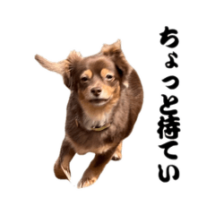 shirasuchan_20260609093224