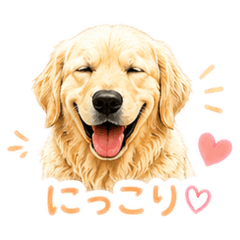 MASAHIKO YAMABE_20260609094530