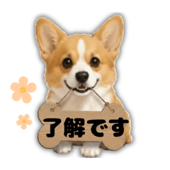 miki_20260609095151