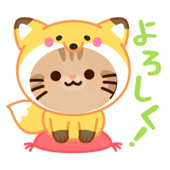 cat_20260609101211
