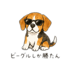 kinako_20260609102256