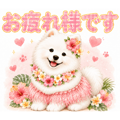 yochuonnu_20260609102903