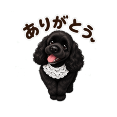 AZU_20260609112412