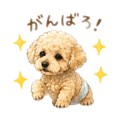 SAYA_20260609115204