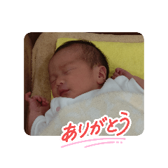 ken_20260609123304