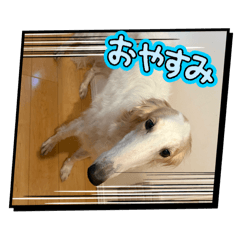Cocobom_20260609121924