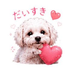 aoi_20260609131356