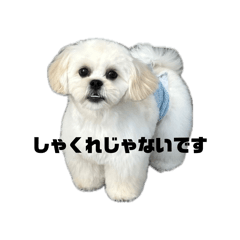 misao_20260609143830