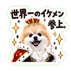 pottsu_20260609145117