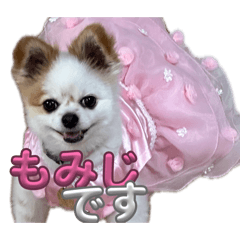 yui_20260609151107