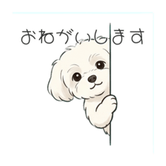ycham_ver1