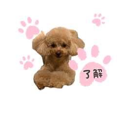 AZKmm_20260609160127