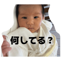 sui_20260609160324