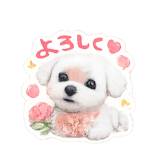 LOVEHAPPY_20260609160816