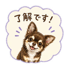 Ohtorii Animal Hospital_20260609161442