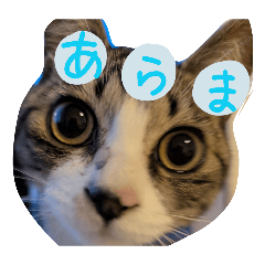 yuka_20260609184740
