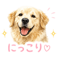 MASAHIKO YAMABE_20260609185051