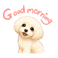 ycham_to_latte