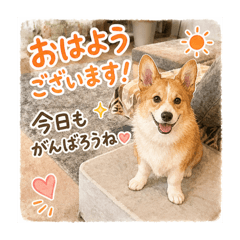 shoko_20260609192149