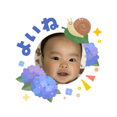 sho_20260609193357