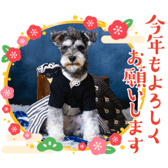 俺！　BANDE