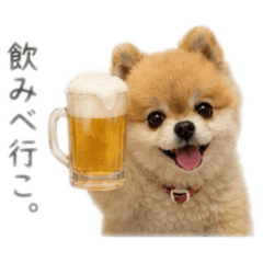 ako_20260609195720