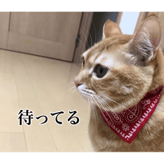 nyam_20260609195159