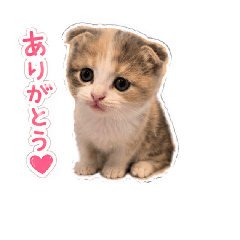 omutu_20260609195747