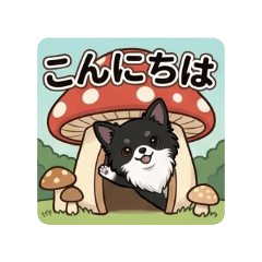 shunachiwa_20260609195821